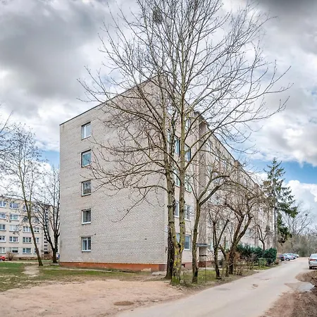 Dandelion By Polo * Kaunas