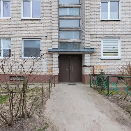 Dandelion By Polo Kaunas