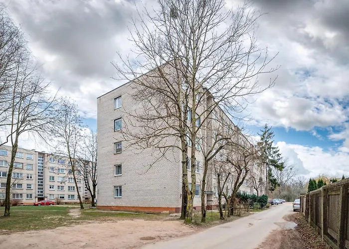 Dandelion By Polo * Kaunas